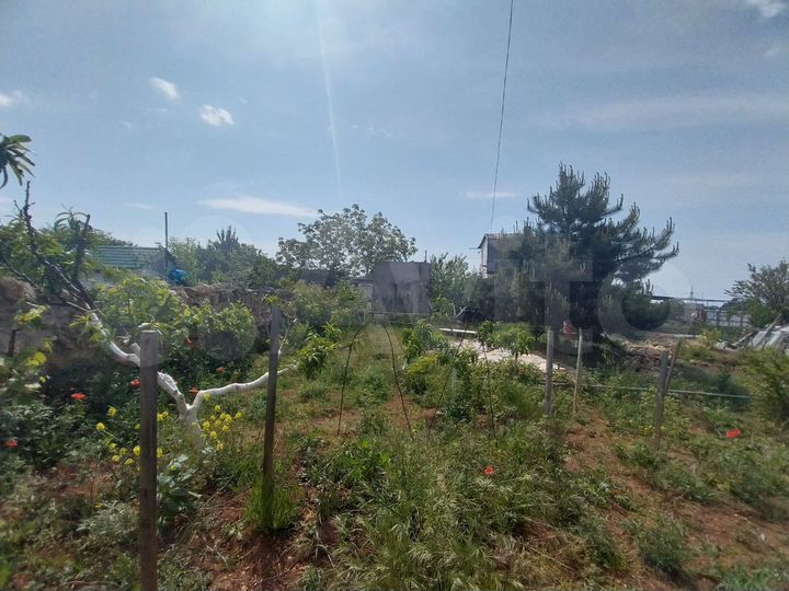 Участок 4 сот. (СНТ, ДНП)