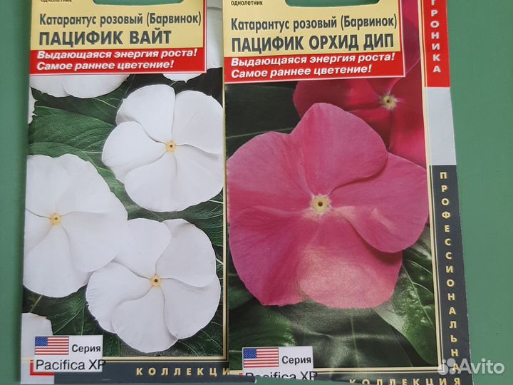 Катарантус семена