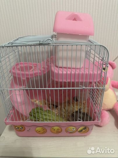 Джунгарский хомяк с клеткой