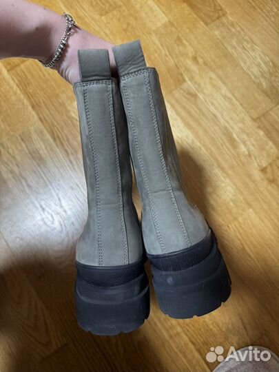 Челси kennel & schmenger