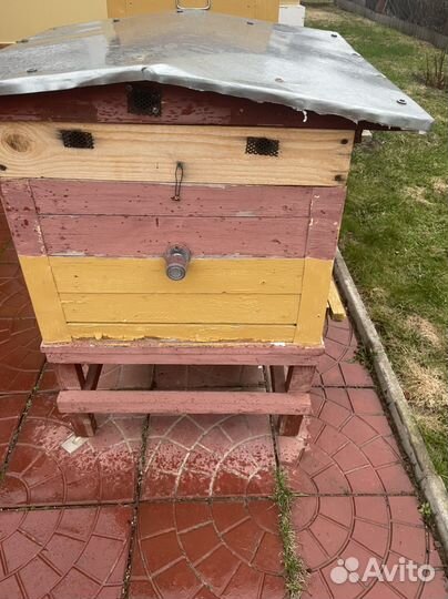 Продам ульи для пчел