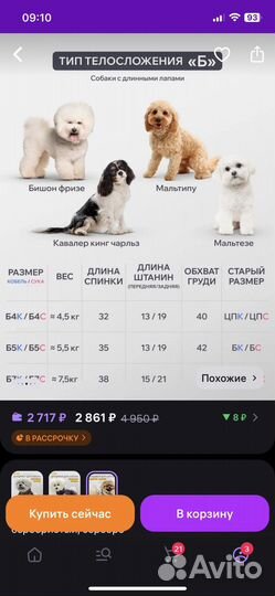 Дождевик для маленьких собак