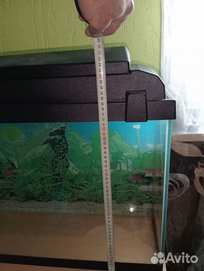 Аквариум