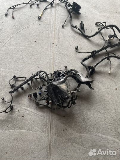 Проводка моторного отсека Kia Rio 4 2020