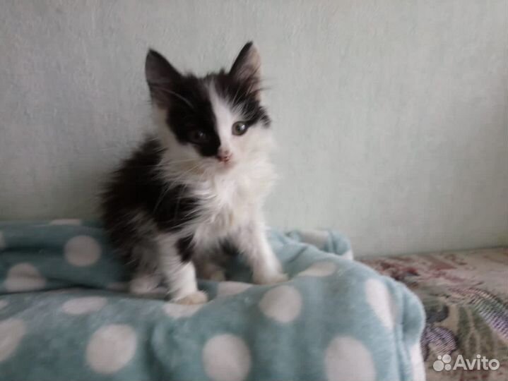 Мальчик 2 месяца