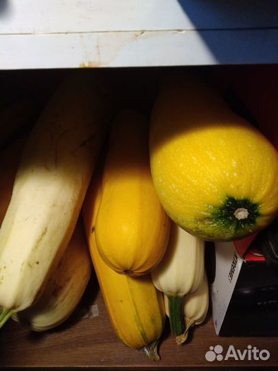 Тыкву и кабачки