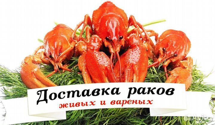 Живые и варёные раки