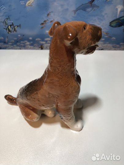 Фарфоровая cтатуэтка Эрдельтерьер СССР 1964 год