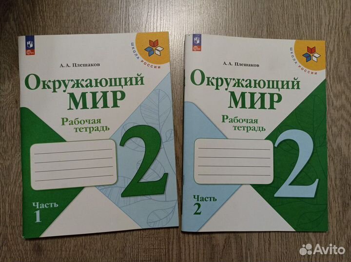 Рабочая тетрадь окружающий мир 2 и 3 класс