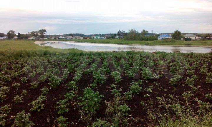 Дом 54,3 м² на участке 24,2 сот.