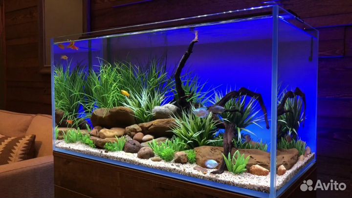 Аквариум/Террариум