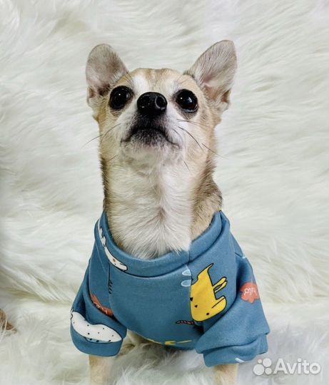 Толстовка для собак утепленная