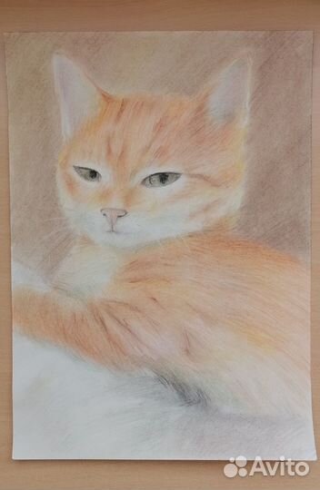 Картины с котами