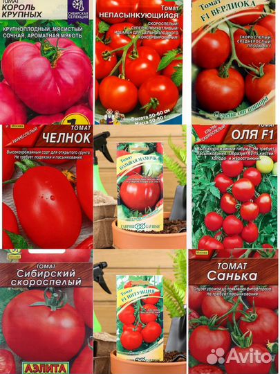 Семена овощей:помидоры,огурцы, капуста, перец и др