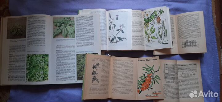 Энциклопедия садовода и полезные книги