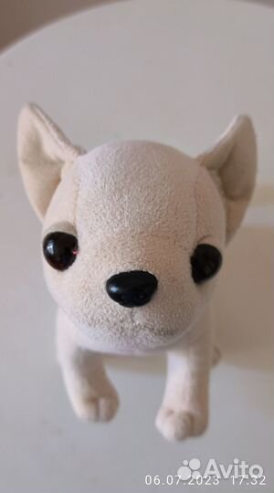 Собачка Chi chi love (забронирована до 25 июля)