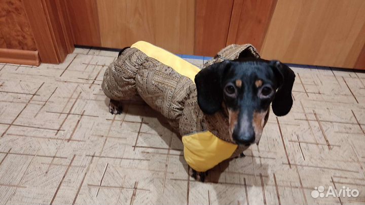 Зимний комбинезон для собак