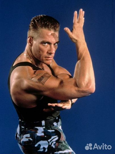 Фильмотека Жан-Клод Ван Дамм 12 фильмов