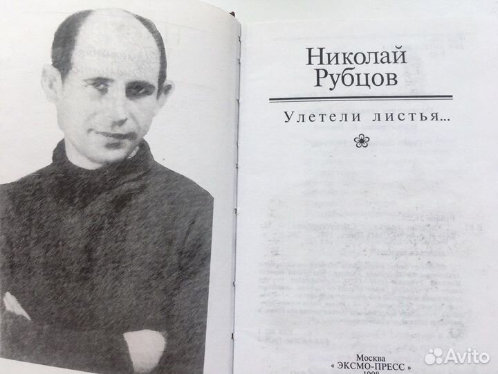 Николай Рубцов.Улетели листья