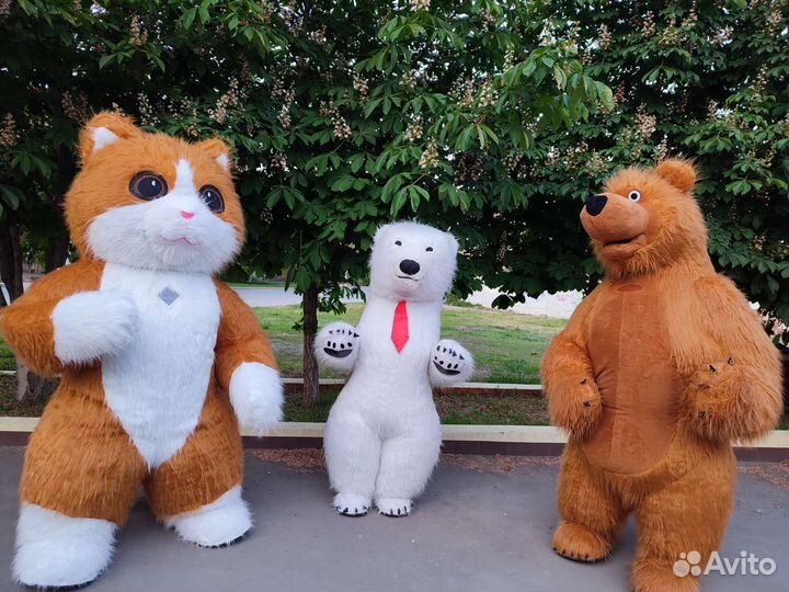 Экспресс поздравление от Мишек, Чебурашки и Кота