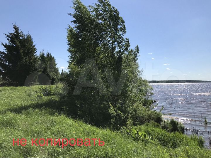 Участок 27,7 сот. (СНТ, ДНП)