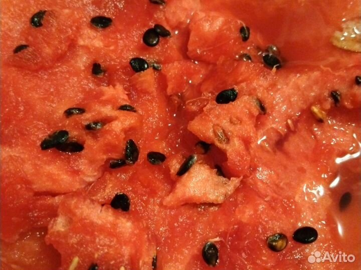 Арбуз оптом с поля