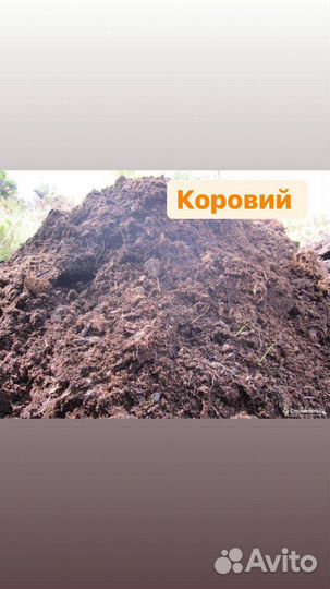 Пергной:Конский,Коровий