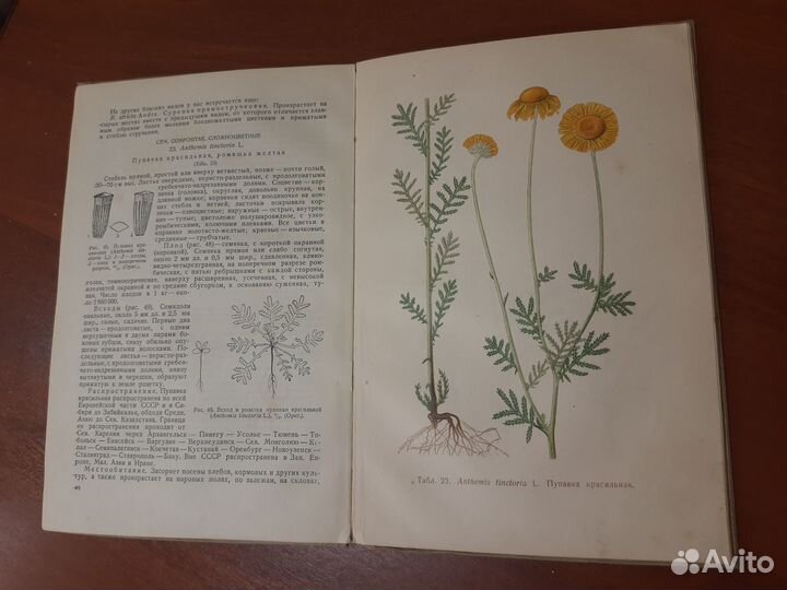 Антикварные книги про растения и птиц 1900-41г