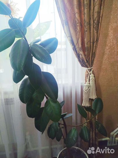 Подхваты для штор