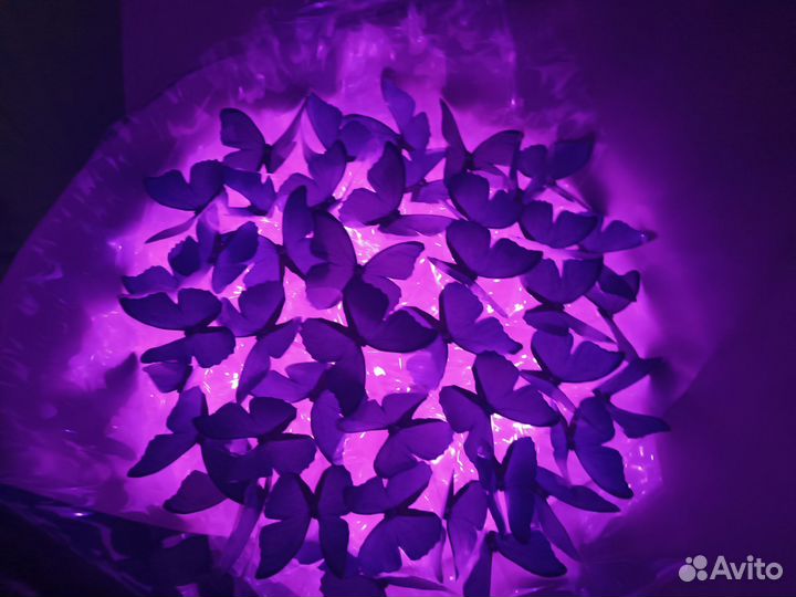 Букет из бабочек