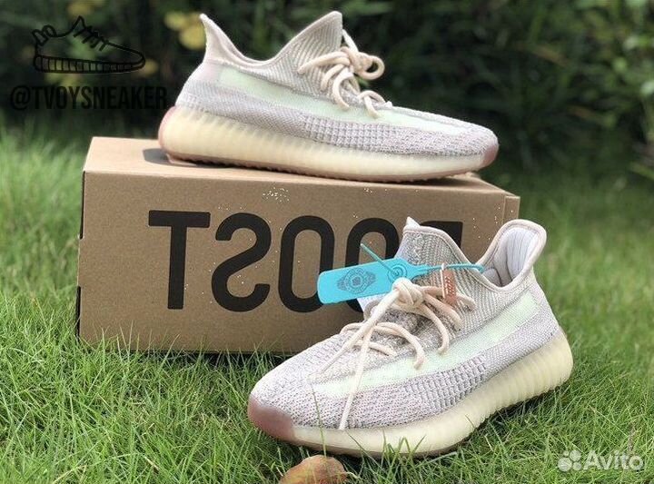 Adidas Yeezy Boost 350 Citrin reflective бежевые