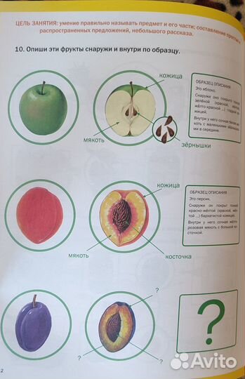 Развитие речи. Мир растений и грибов