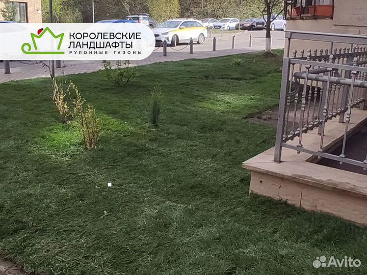 Рулонный газон