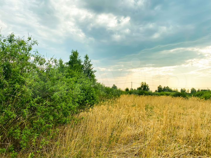 Участок 10 сот. (СНТ, ДНП)