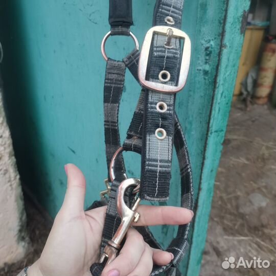 Недоуздок для лошади