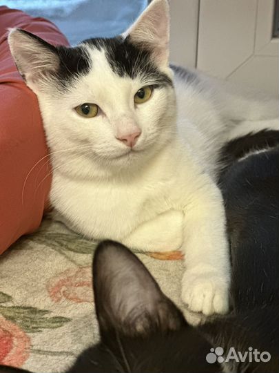 Степан 4 месяца