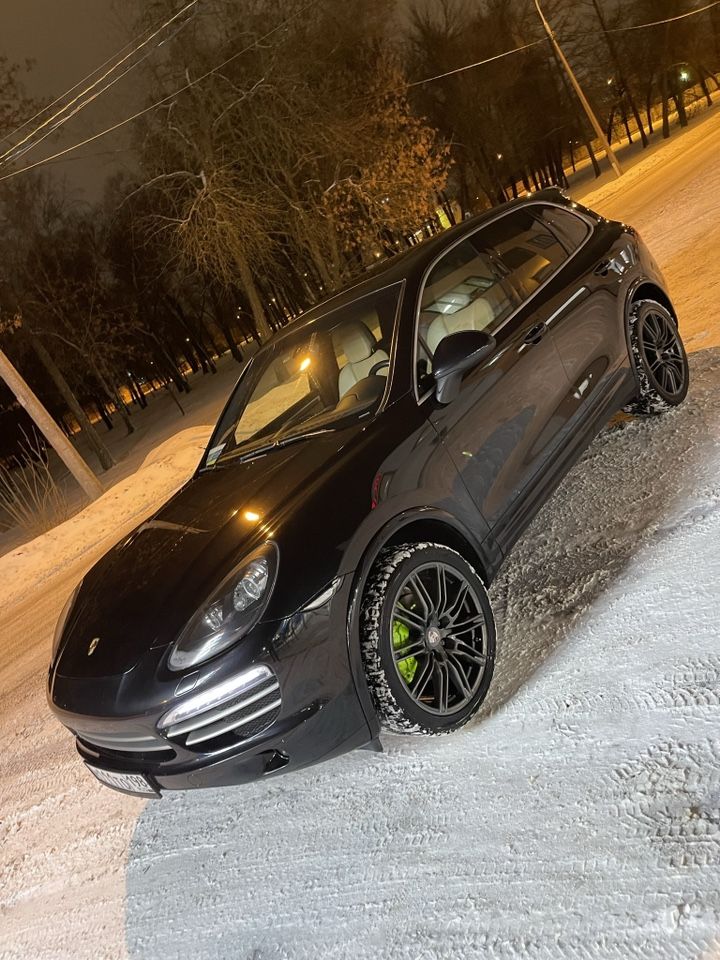Porsche Cayenne: фото владельца