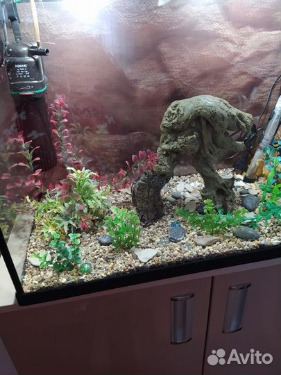 Аквариум