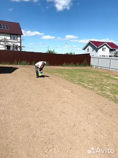 Посевной газон