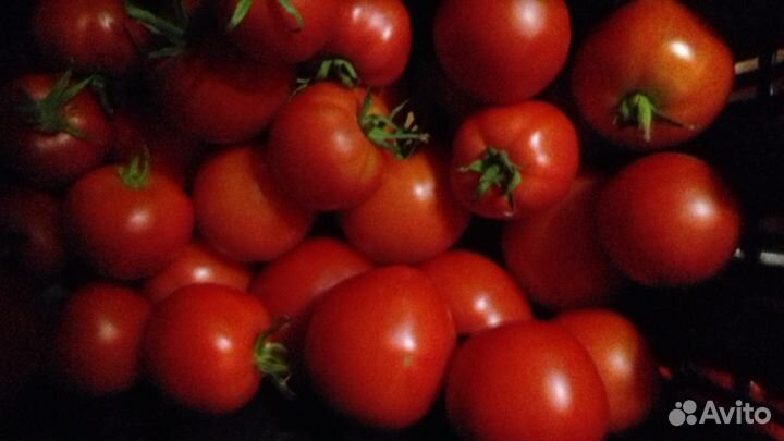 Помидоры