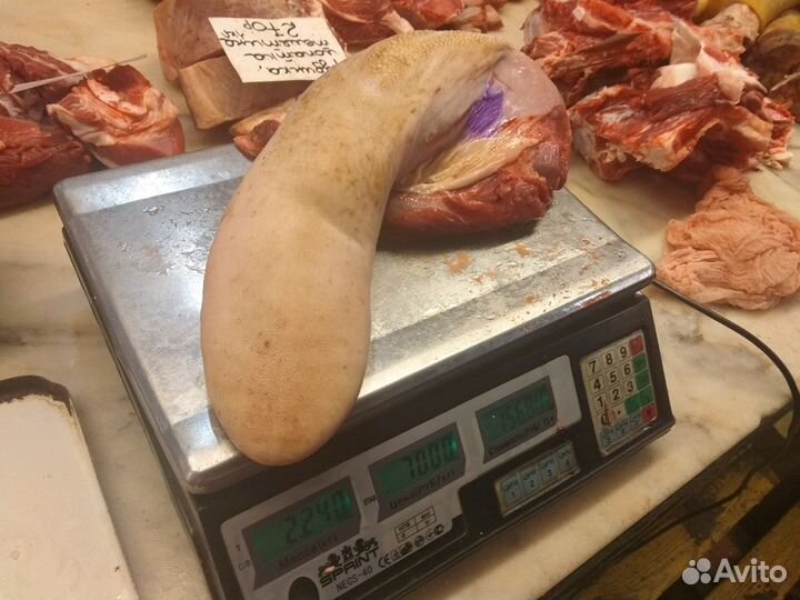 Свежее мясо