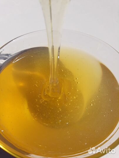 Мед 2023г с личной пасеки