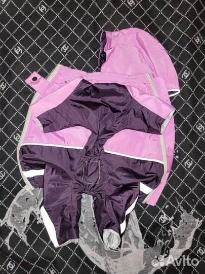 Одежда для маленьких собак m