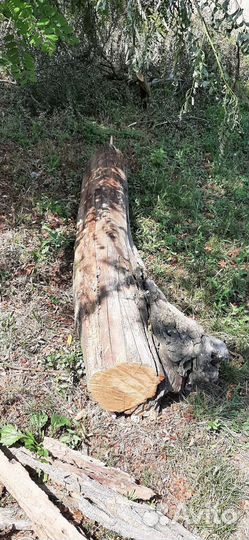 Дрова акации