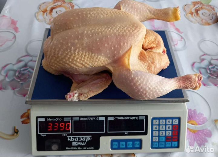 Мясо домашнего бройлера