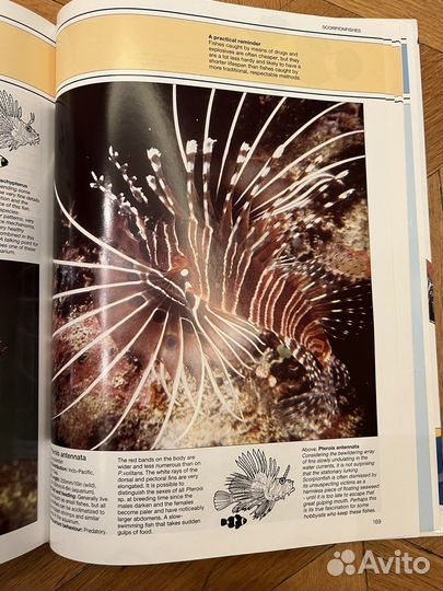 Книга The Marine Aquarium