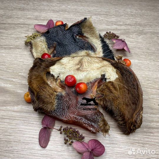 Лакомства для собак