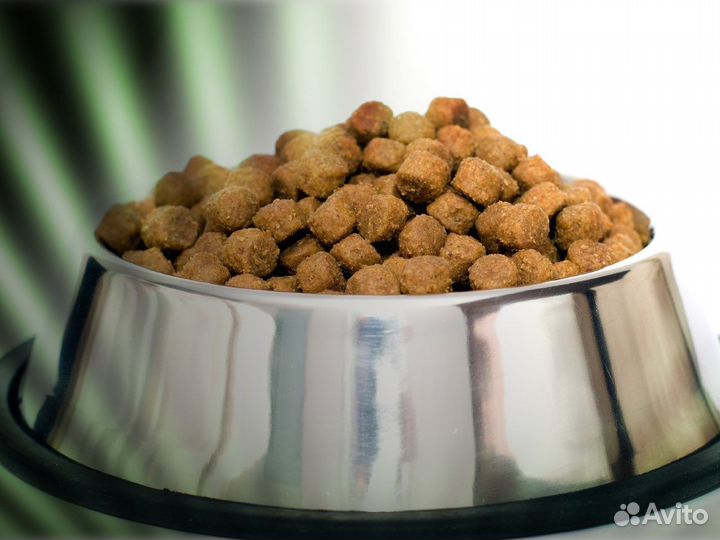 Сухой корм для собак мелких пород