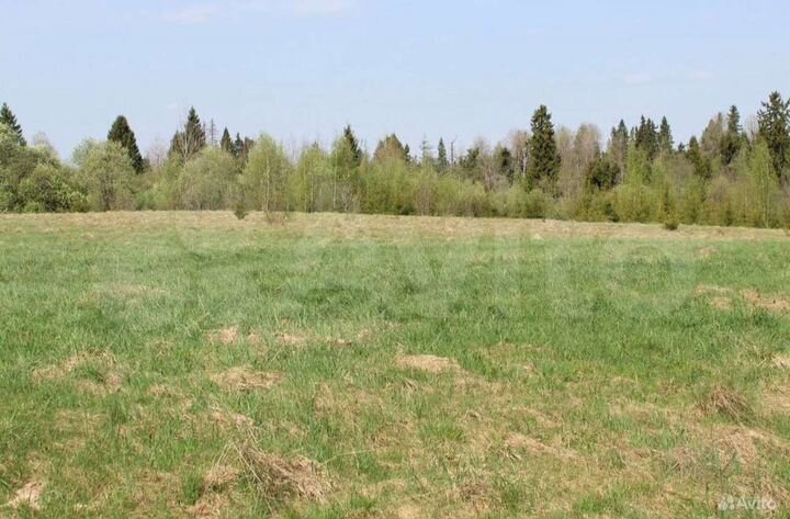 Участок 15 сот. (ИЖС)