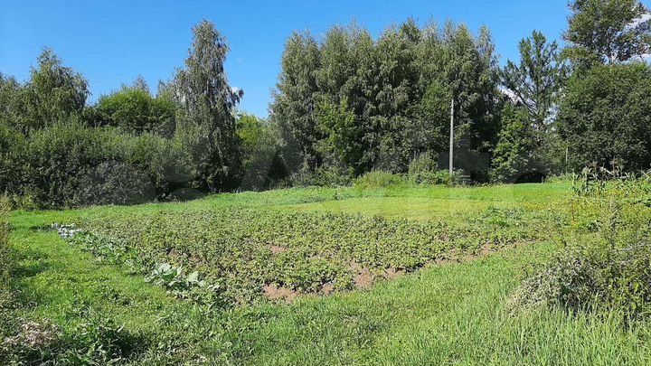 Участок 10,5 сот. (ИЖС)